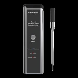 Smart Thermometer