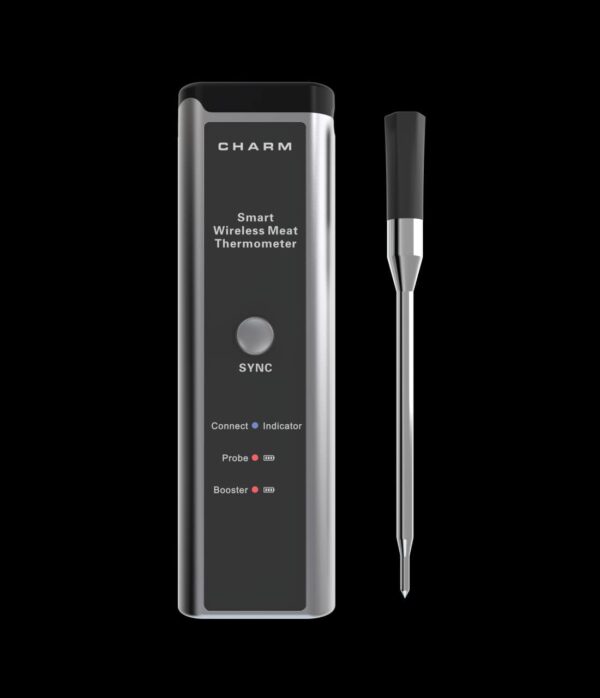 Smart Thermometer